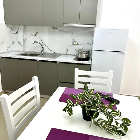 Shell 2 * Golem (Tirana)